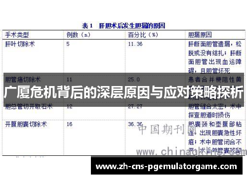 广厦危机背后的深层原因与应对策略探析