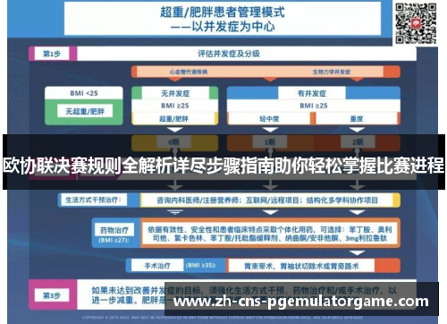 欧协联决赛规则全解析详尽步骤指南助你轻松掌握比赛进程